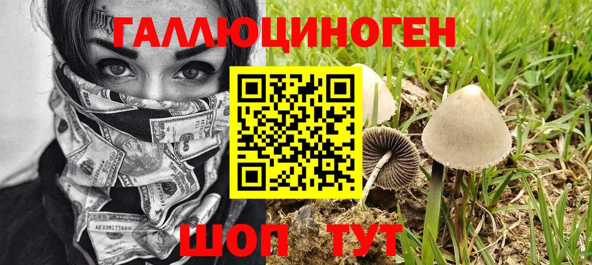 Псилоцибиновые грибы GOLDEN TEACHER Рыбинск